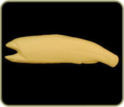 LT159