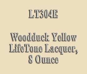 LT304E