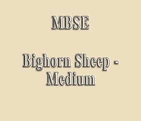 MBSE