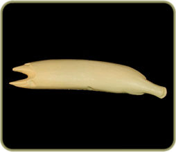 MDL39B