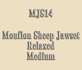 MJS14