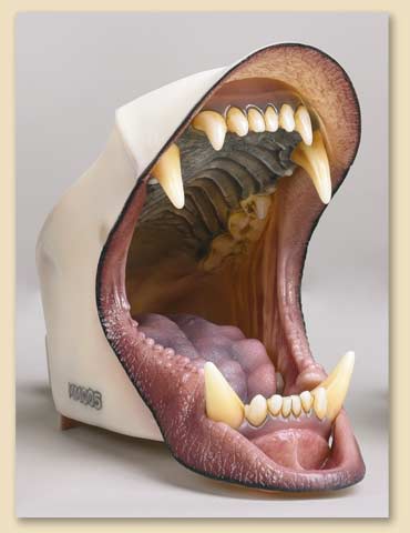 MM005