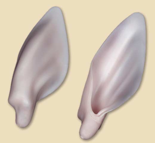 MSPS