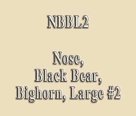 NBBL2