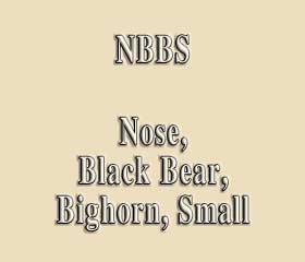 NBBS