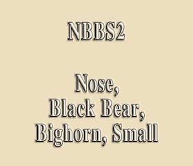 NBBS2