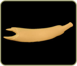 NL26A