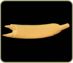 NL33C