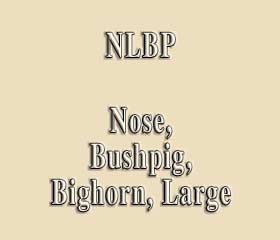 NLBP