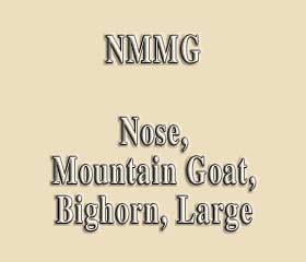 NMMG