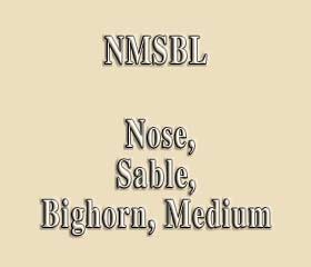 NMSBL