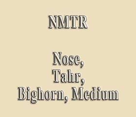 NMTR