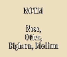 NOTM
