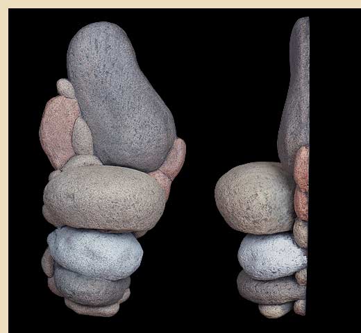 NR110