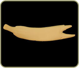 NR26B
