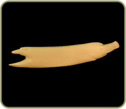 NR36B