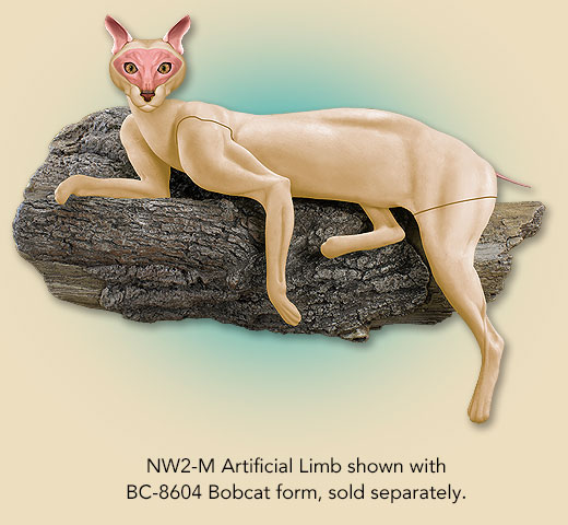 NW2-M
