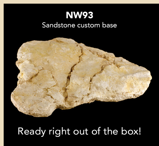 NW93