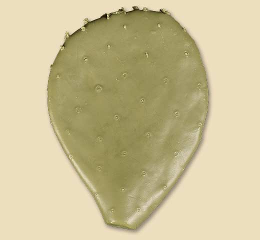 PPC7