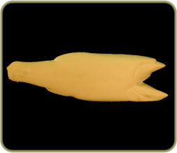R182