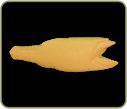 R192