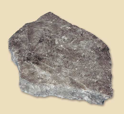 R19G