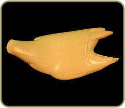 R2025