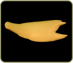 R2085