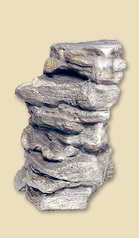 R29G