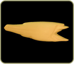 R302