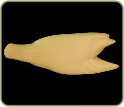 R554