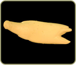 R97