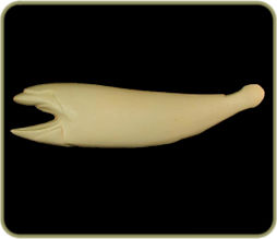 RFL2617