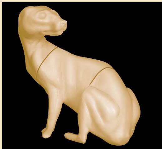 RGT-9