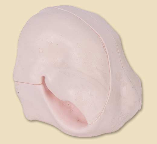 RMN2