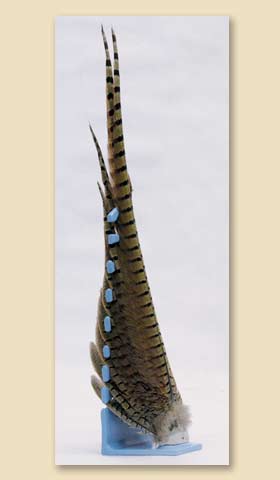 S7246