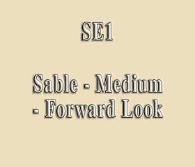 SE1