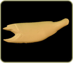 SL2217