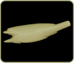 SL2518