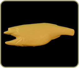 SLD2621