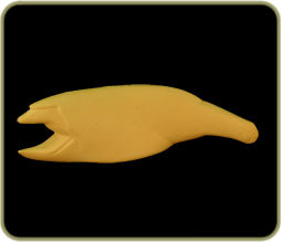 SLD2823