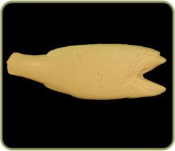 SMR205