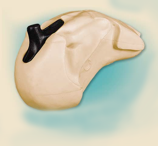 SNI-4