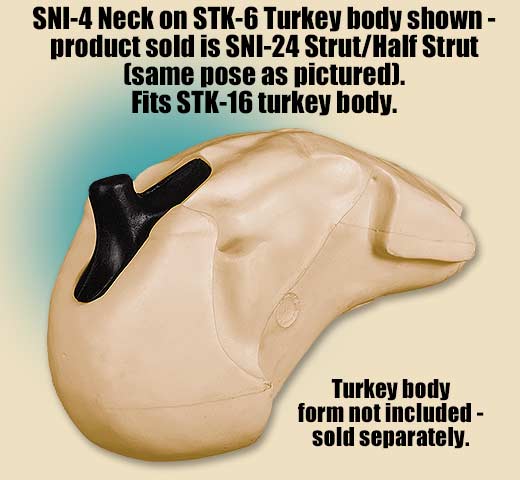 SNI-24