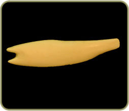 ST116