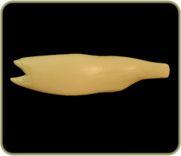 ST171