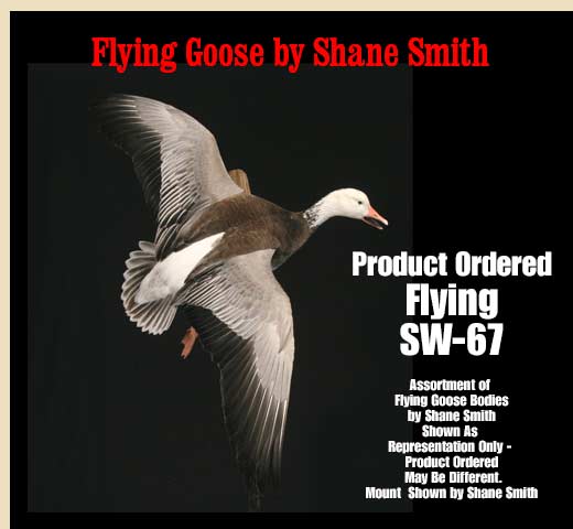 SW-67