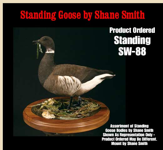 SW-88