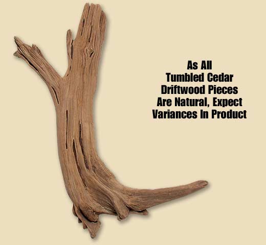 TCD328