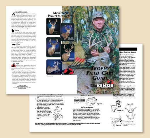 TFC50